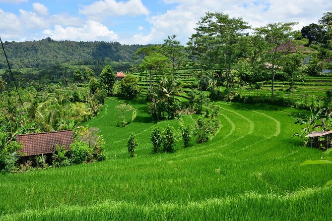 East Bali Tour: Gate of Heaven, Water Palace, Sleeping Gajah - Sidemen and lunch at Sleeping Gajah