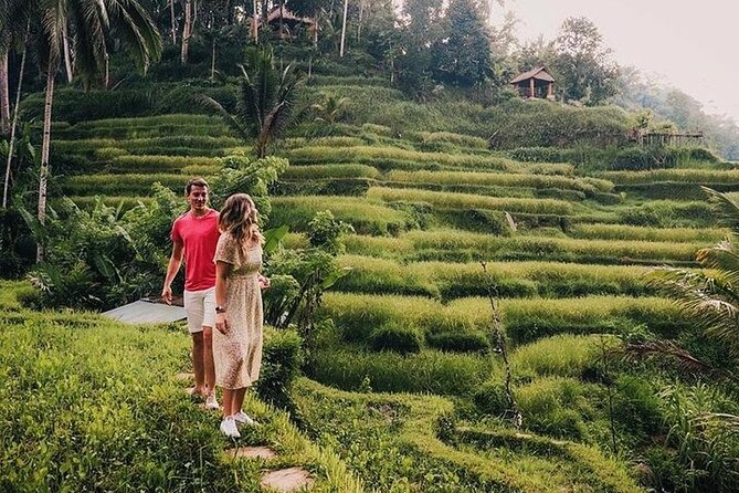 East of Bali Tour with Lempuyang Temple, Waterfall, Tirta gangga - A private car changes the pace