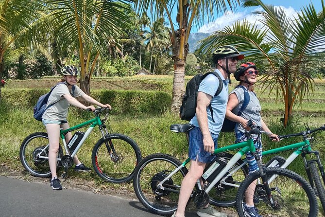 Electric bicycle tour in Jatiluwih UNESCO site - Why Jatiluwih Works So Well by E-Bike