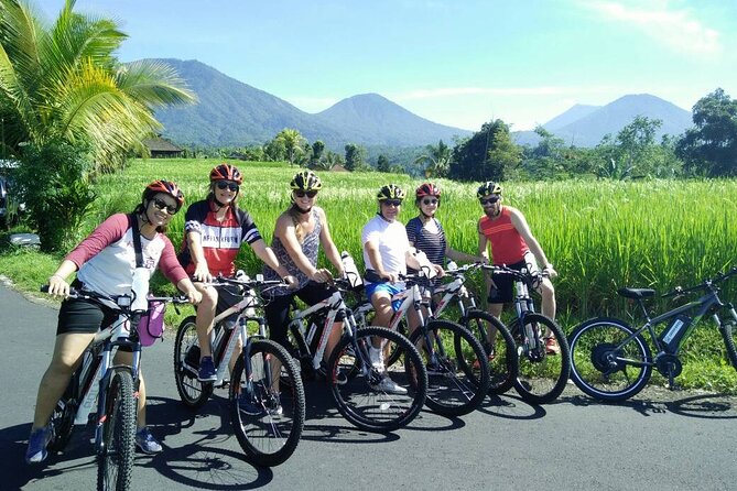 Electric bicycle tour in Jatiluwih UNESCO site - Through Bamboo, Jungle, and Small Streams