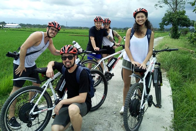 Electric bicycle tour in Jatiluwih UNESCO site - What the Four-Volcano Valley Adds