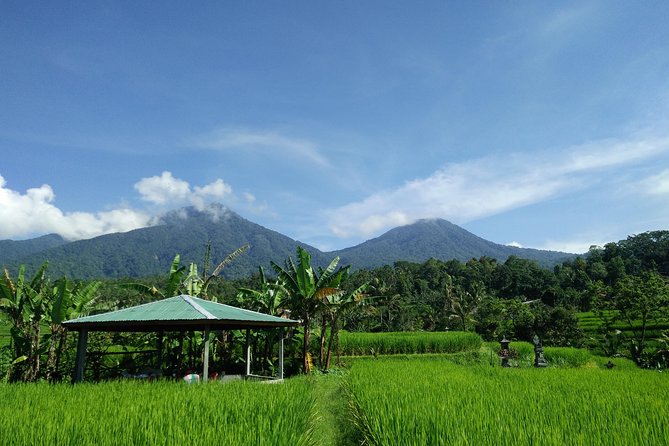 Electric bicycle tour in Jatiluwih UNESCO site - A Guide Who Keeps the Ride Human