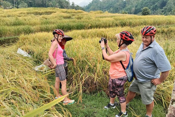 Electric bicycle tour in Jatiluwih UNESCO site - Reading the Rice Terraces