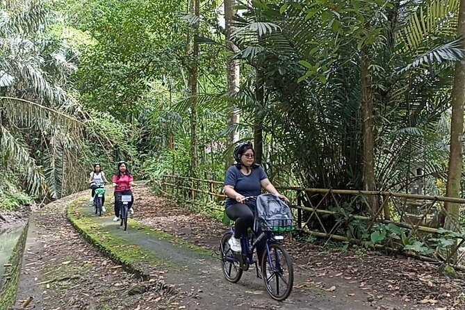 Electric bicycle tour in quaint South Ubud - Key points at a glance