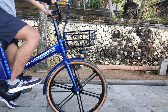 Electric bicycle tour in quaint South Ubud - Leaving Ubud for the fields around Mambal