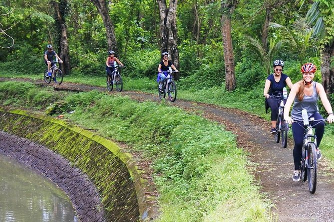 Electric bicycle tour in quaint South Ubud - Why the electric bike changes the ride