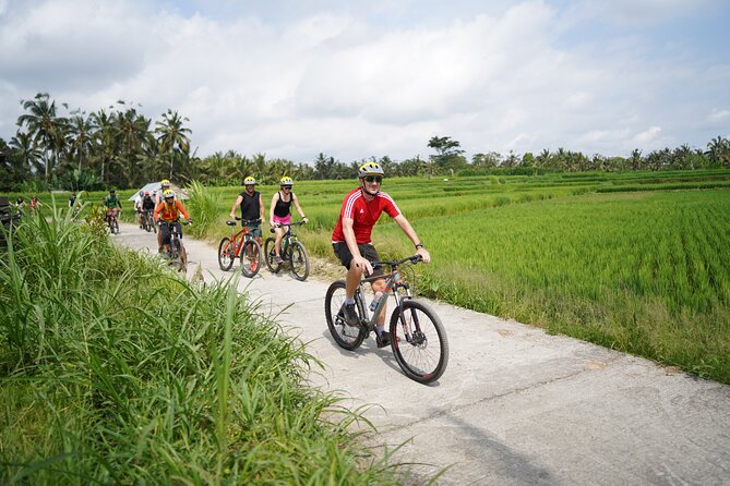 Electric Bike and Swing Package - Key things to know before booking