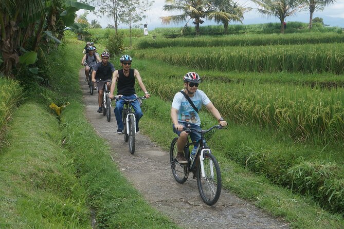 Electric Bike and Swing Package - Tegallalang marks the end of the countryside riding
