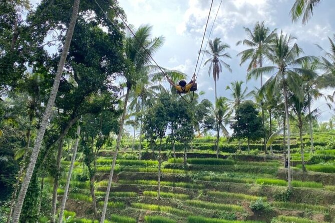 Electric Bike and Swing Package - Breakfast at Greenkubu starts the day with a practical advantage
