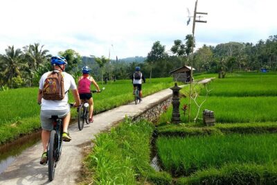 Electric Cycling Tour of Ubud with Free Hotel Transfer and Lunch