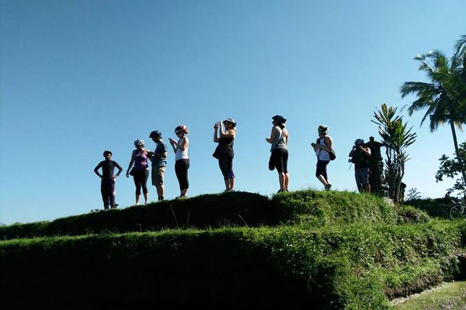 Electric Cycling Tour of Ubud with Free Hotel Transfer and Lunch - Tegalalang Rice Terrace, the big photo stop