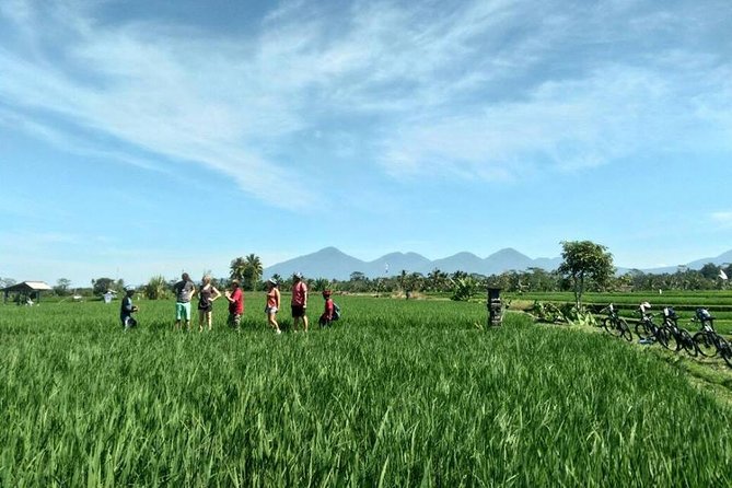 Electric Cycling Tour of Ubud with Free Hotel Transfer and Lunch - Lunch after the morning ride, dinner after the afternoon ride
