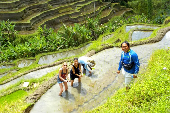 Electric Cycling Tour of Ubud with Free Hotel Transfer and Lunch - Traffic safety and the limits of the route