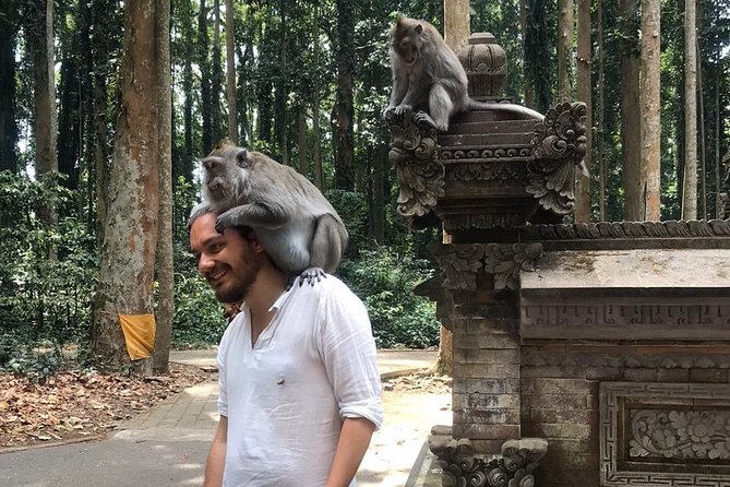 Enchanting Bali Tour with the Best Driver | All Included - A Full Day Built Around Your Own Car