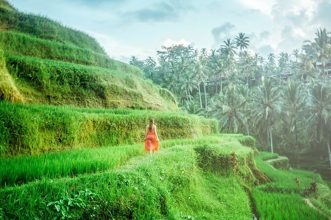 Enchanting Bali Tour with the Best Driver | All Included - Tirta Empul and the Holy Water Pools