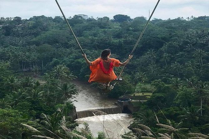 Experience Full Day to Bali Swing Temple and Monkey Forest - A Full Day Built Around the Bali Swing