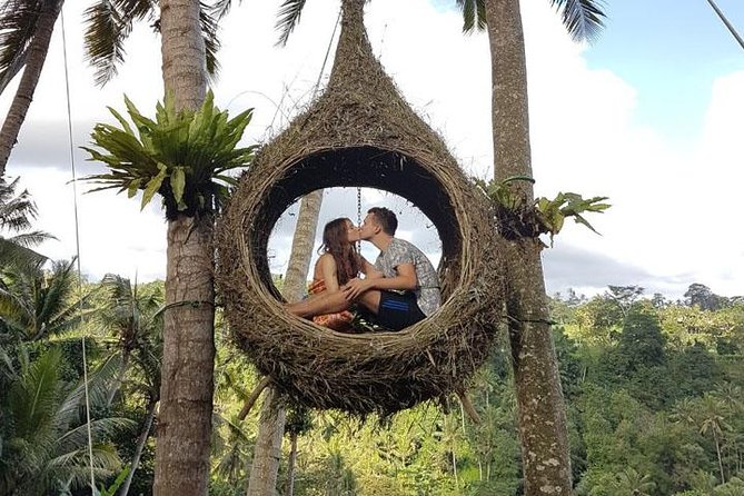 Experience Full Day to Bali Swing Temple and Monkey Forest - Picheaven Bali Swing From 5 to 20 Meters