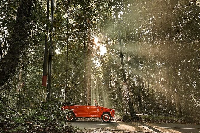 Explore Bali's Hidden Gems In a Classic Vw Convertible - Tirta Empul and the etiquette of a holy spring