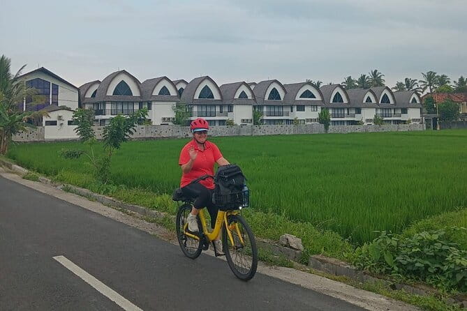Explore Rice Fields and Hidden Villages with Ubud E-Bike Tour - Why an e-bike is a smart way to see Ubud