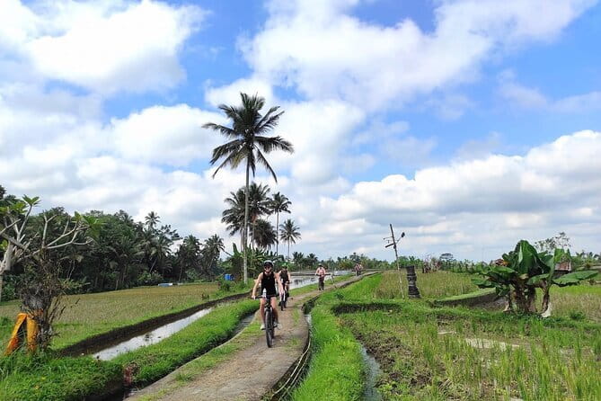 Explore Rice Fields and Hidden Villages with Ubud E-Bike Tour - Lunch, water, safety gear, and photographs