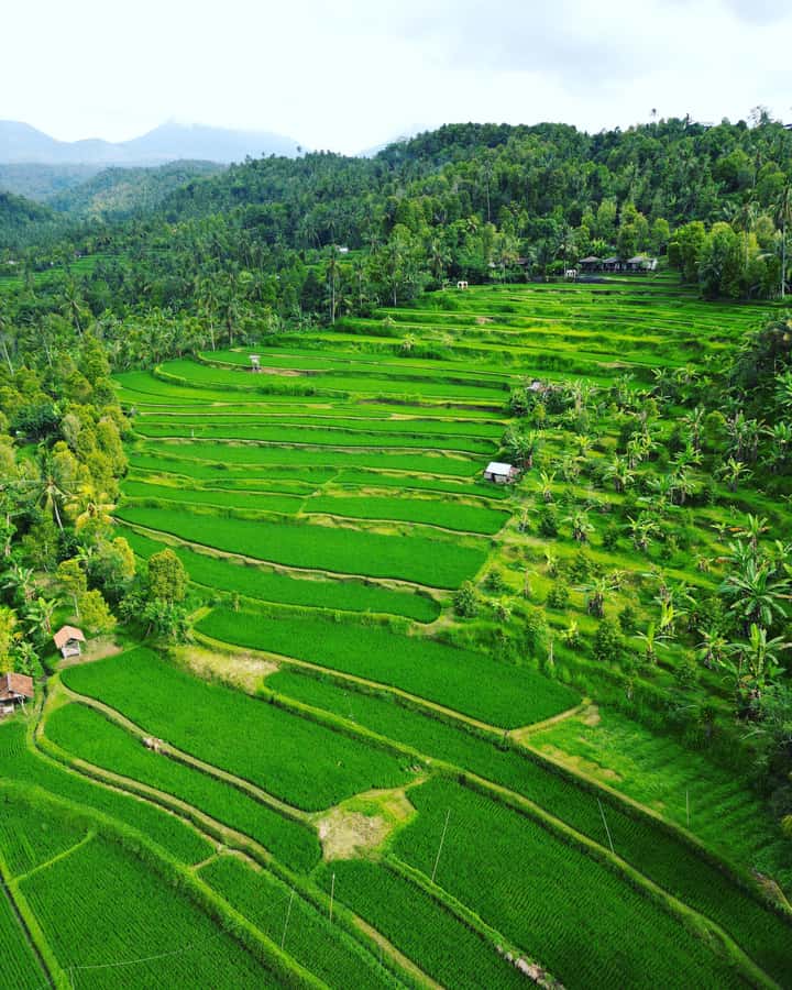 Explore rice terraces munduk & waterfall trekking experience - Why Munduk is worth the trip from Celukan Bawang Port