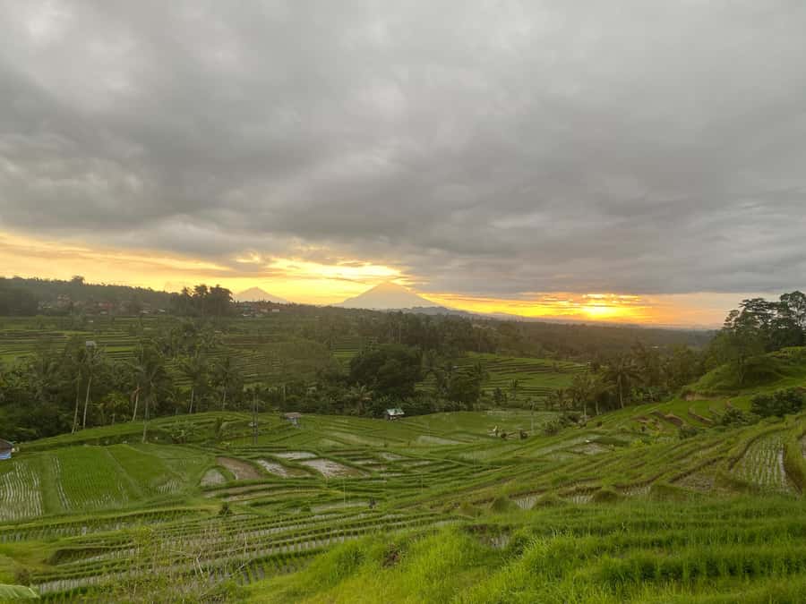 Explore rice terraces munduk & waterfall trekking experience - Lunch made by the guide’s family