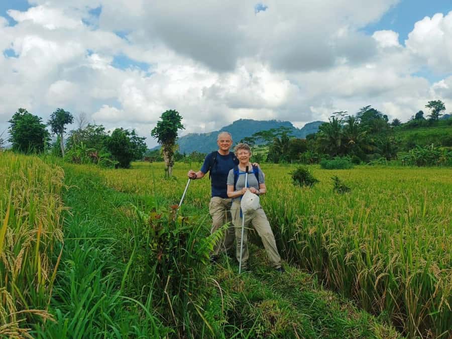 Explore rice terraces munduk & waterfall trekking experience - The Munduk rice terraces walk