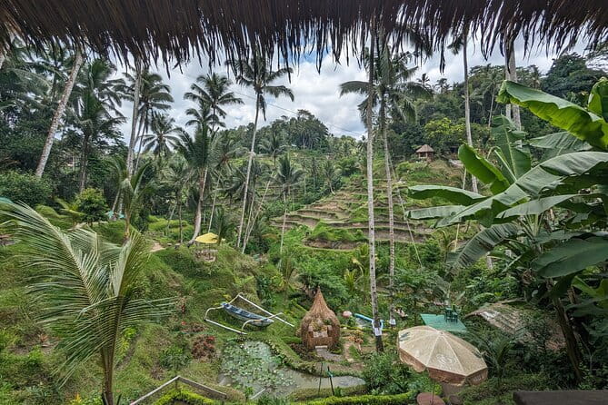 Explore Ubud Art Market, Monkey Forest and Rice Terraces - 90 Minutes Among Ubud’s Sacred Forest Temples