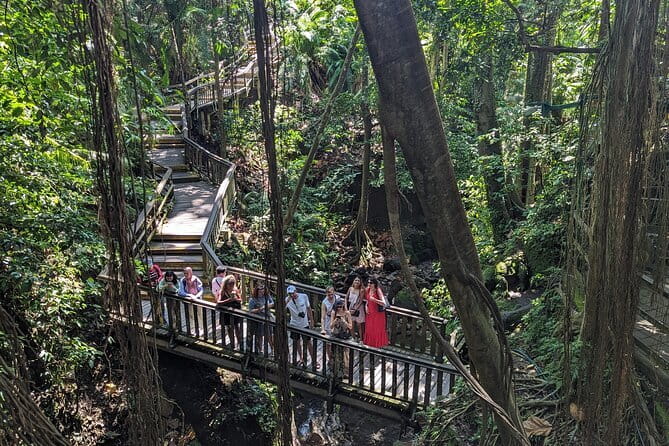 Explore Ubud Art Market, Monkey Forest and Rice Terraces - Tegallalang Rice Terraces and Traditional Irrigation