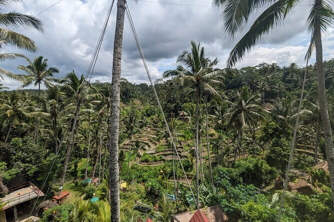 Explore Ubud Art Market, Monkey Forest and Rice Terraces - One Hour at Ubud Art Market and Ubud Palace