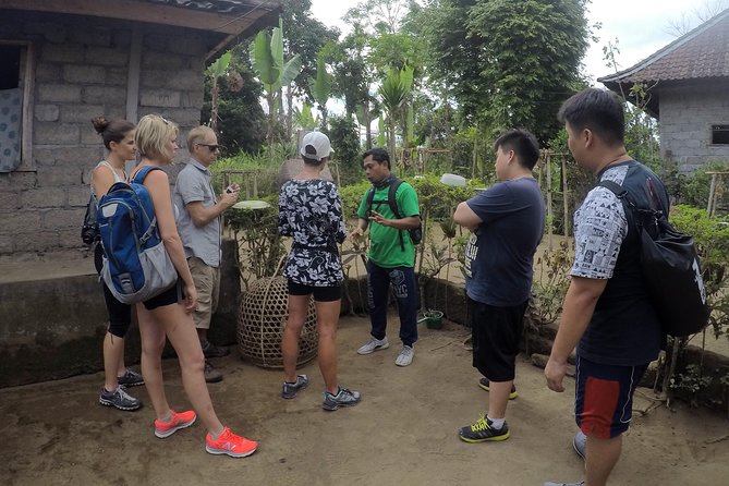 Explore Ubud with Electric Bike - A short Tegallalang rice terrace stop for photographs