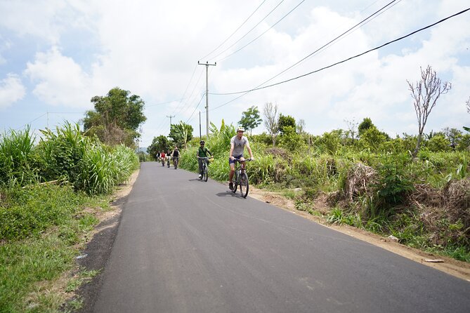 Explore Ubud with Electric Bike - Spending 45 minutes inside a Balinese home