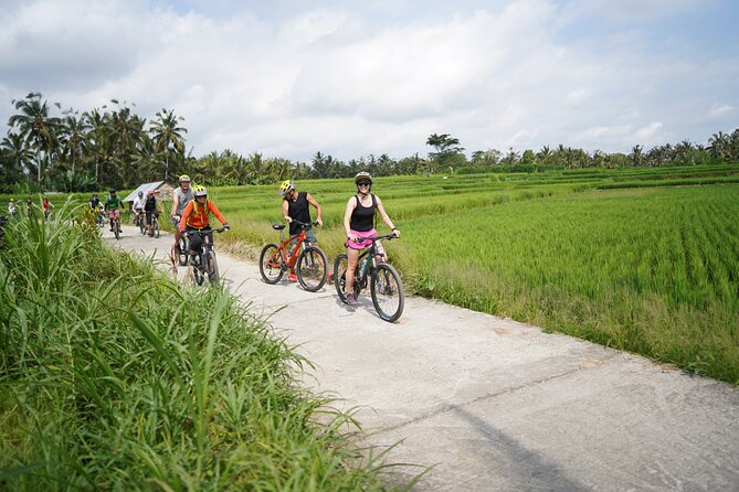 Explore Ubud with Electric Bike - The right pace for a four-hour Ubud morning