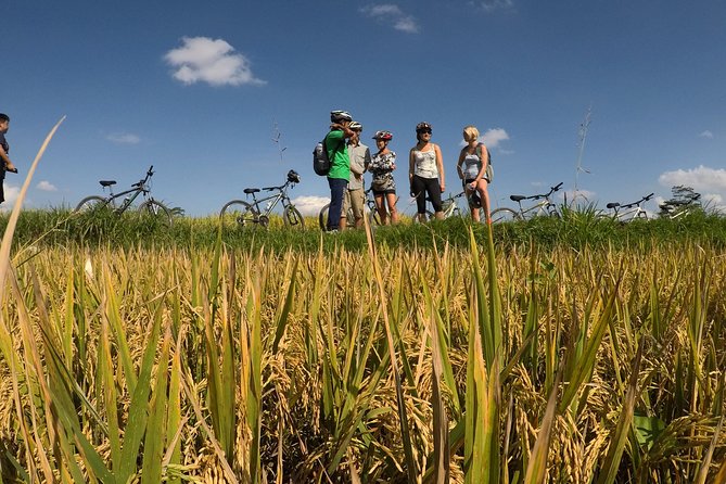 Explore Ubud with Electric Bike - Starting with breakfast at Greenkubu Restaurant and Swing