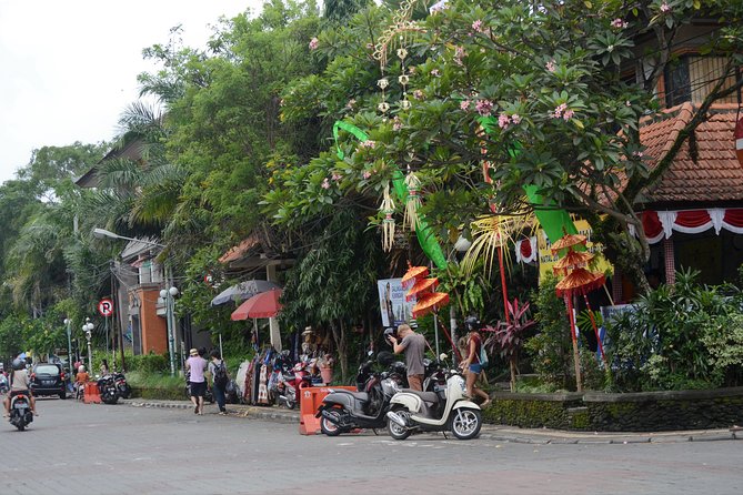 Famous Ubud villlage and Dance Tour with Rice Terrace And Waterfall Visit - Tegalalang Rice Terrace and the farming view