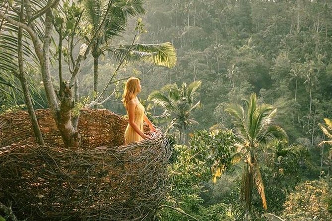 Fantastic Ubud Tour with Jungle Swing - Tegalalang Rice Terrace: Ubud’s classic scenery