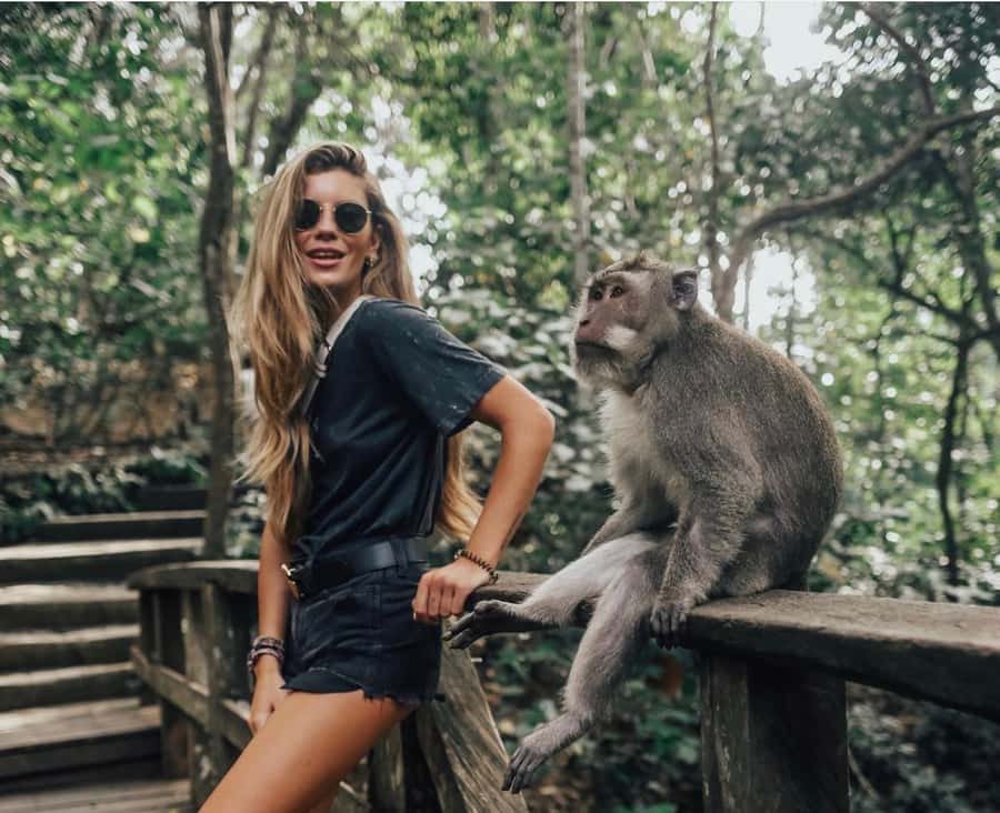 From Bali: Saraswati Temple, Monkey Forest, Ubud Waterfalls - What the $34 base price really covers