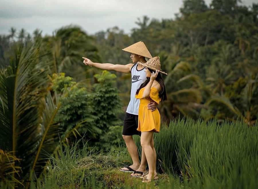 From Bali: Saraswati Temple, Monkey Forest, Ubud Waterfalls - Ubud Palace and the art market add local color