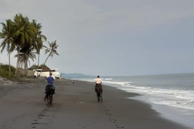 From Ubud 1 Hour Horse Riding at The Beach Experiences - Meeting your horse and getting ready