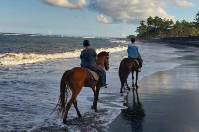 From Ubud 1 Hour Horse Riding at The Beach Experiences - Why the private format adds value