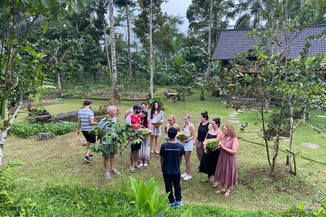 From Ubud: Authentic Bali Farm Cooking School & Organic Farm - Key points at a glance