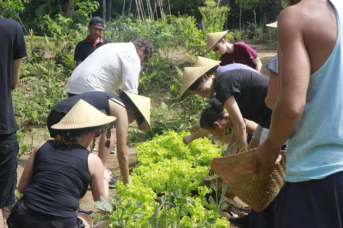 From Ubud: Authentic Bali Farm Cooking School & Organic Farm - How the $38 price compares