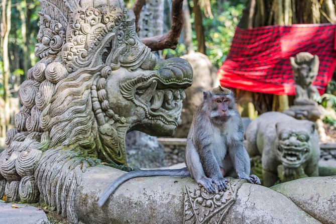 Full-Day Ayung River White Water Rafting and Ubud Tour - Lunch after the river