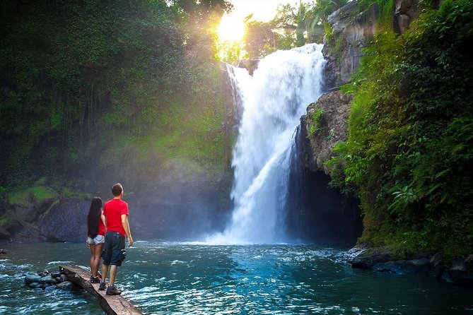 Full-Day in Bali: Amazing Ubud Tour - Tegalalang Rice Terrace from the cliffside