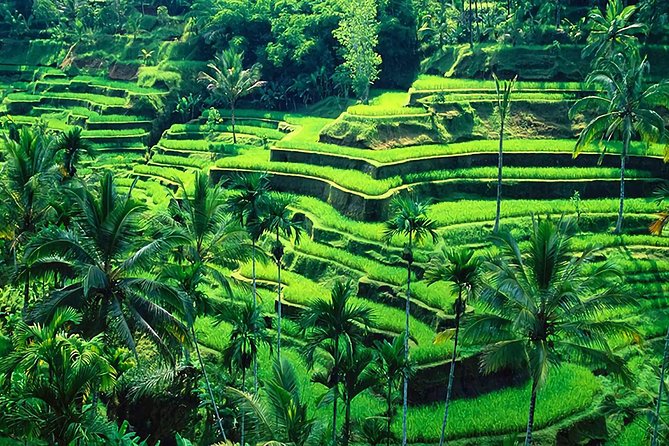 Full-Day in Bali: Amazing Ubud Tour - Batuan Temple and its carved stone gates