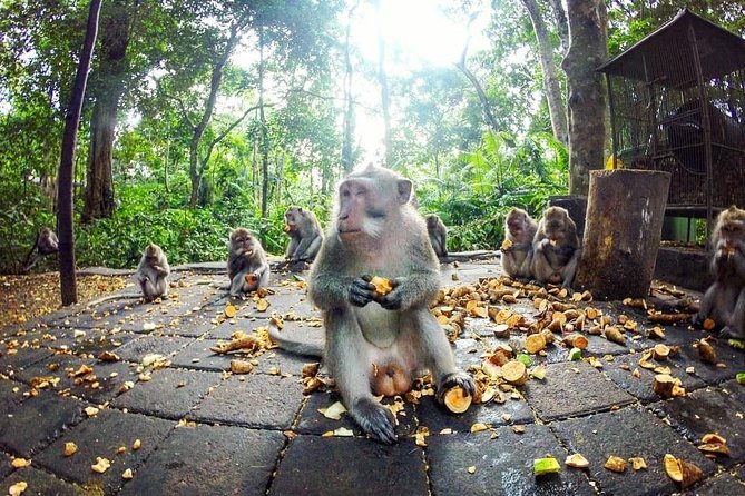 Full-Day in Bali: Private Design-Your-Own Tour - Kintamani and the mountain route