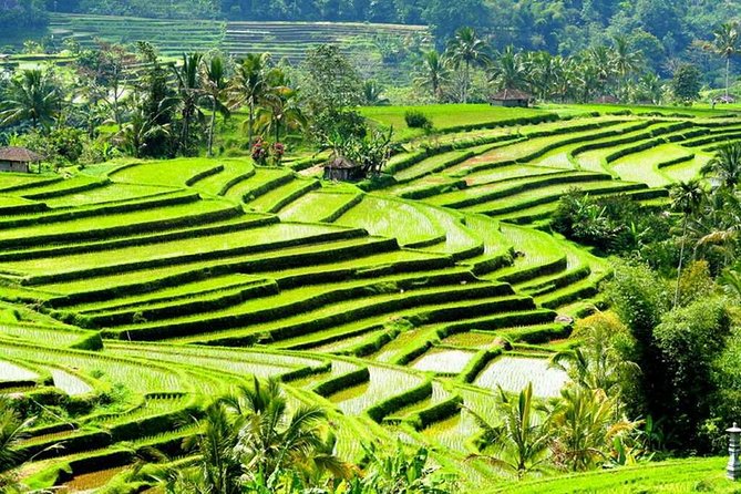 Full-Day Private Cultural Bali Tour + Balinese Driver - East Bali’s temples and water palaces