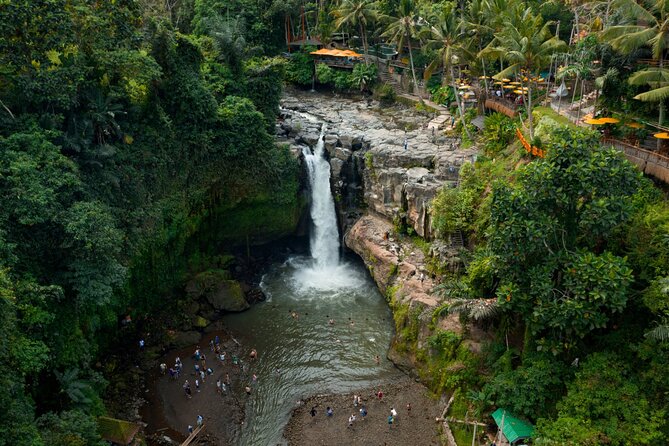 Full Day Private Guided Tour to Bali - Tegalalang Rice Terrace: Bali’s farming country