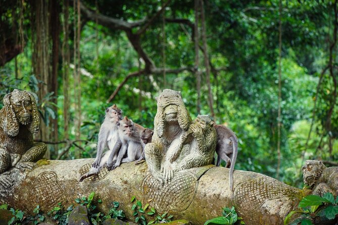 Full Day Private Guided Tour to Bali - Optional stops: choose, do not collect