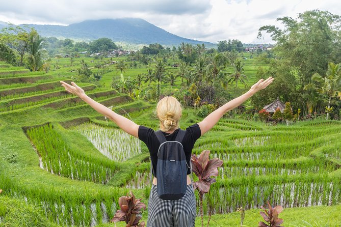Full-Day Tour to Water Temples and UNESCO Rice Terraces in Bali - Price, inclusions, and the small print that matters